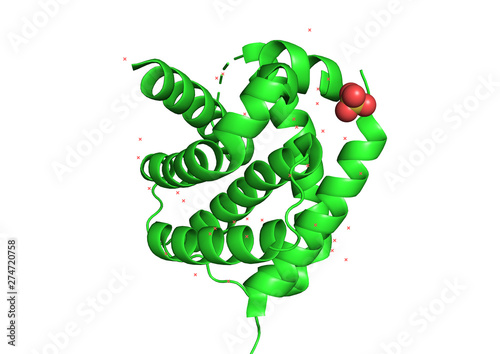 3d structure of the protein molecule. photo