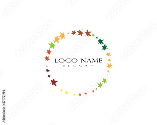 autumn Leaf Logo template vector illustration