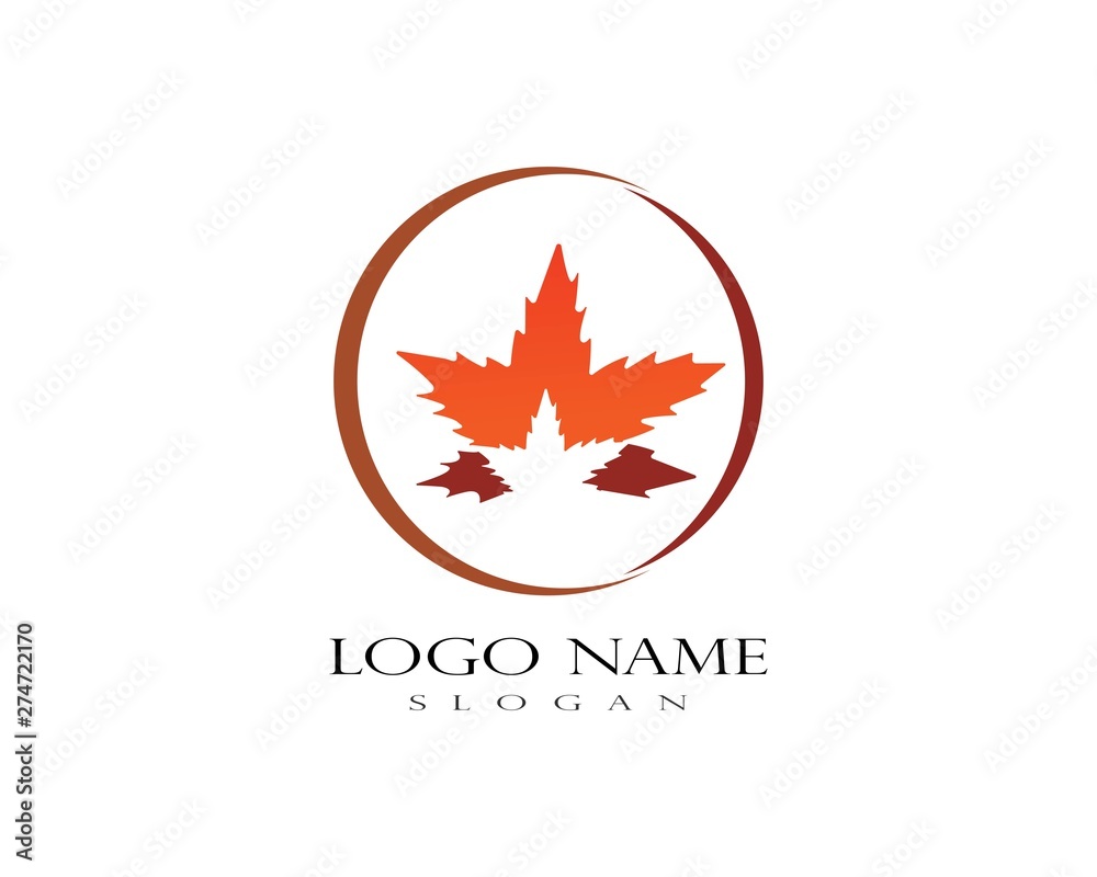 Oak Leaf Logo template vector illustration Oak Leaf Logo template vector illustration