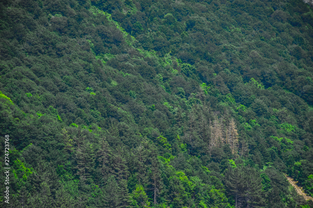 view of mountains