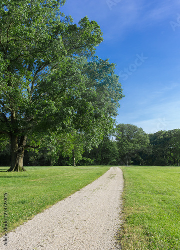 Fototapeta Naklejka Na Ścianę i Meble -  A hiking path that runs by a solitary tree and an open field