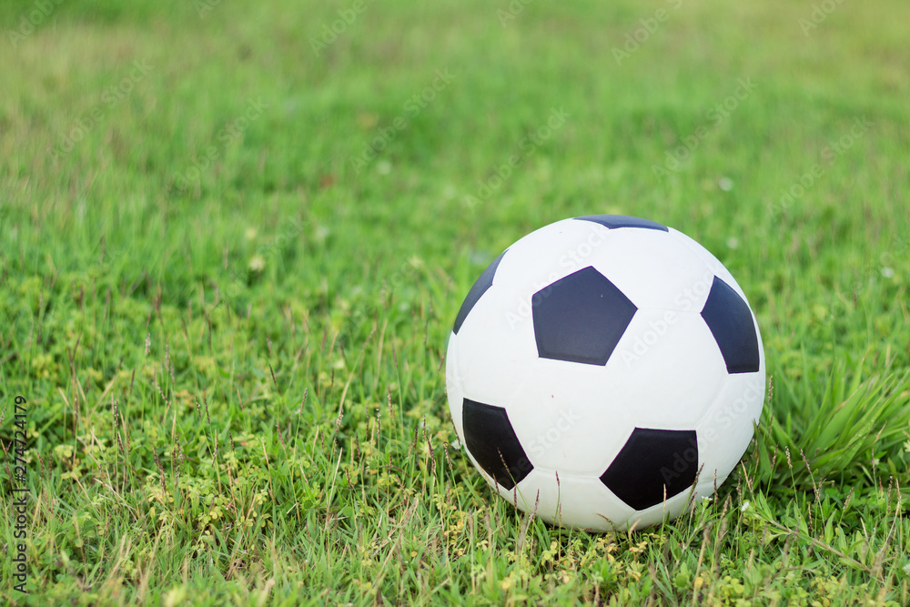 football put on grass in the park