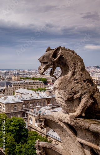 Close up of gargoyle from rooftop of Notre Dame in Paris © HJ