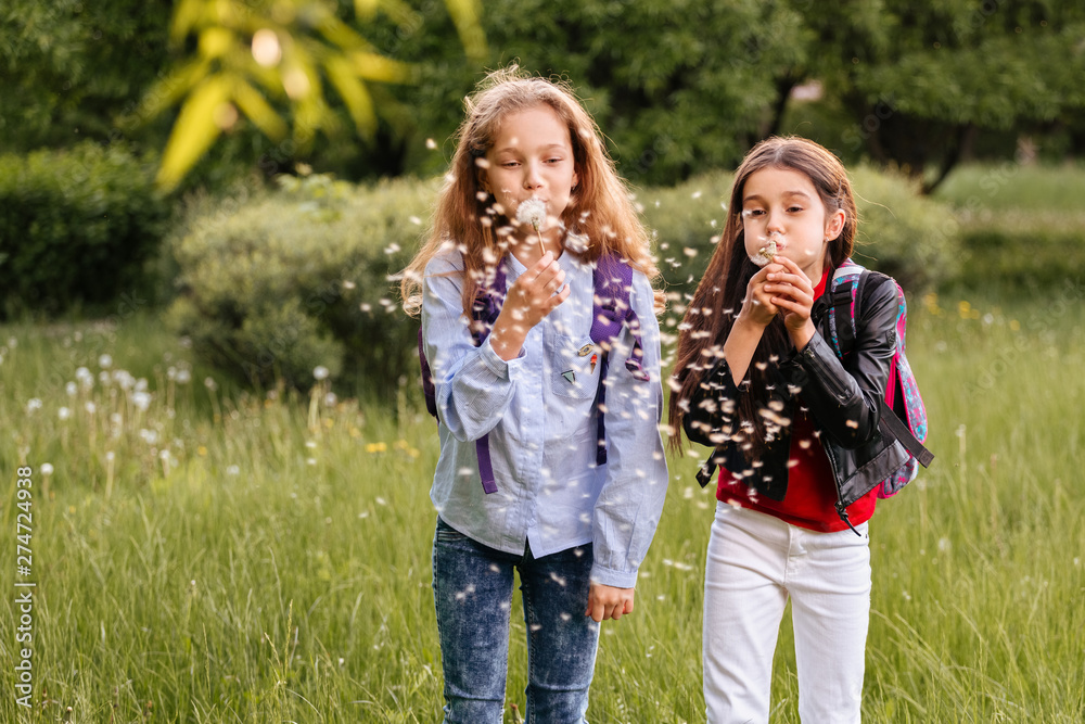 Sunny summer children are blowing dandelion flower Sunny summer children are blowing dandelion flower