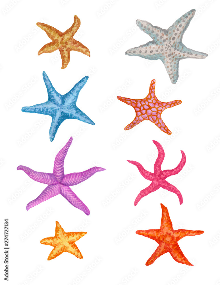 Set of hand-painted watercolor starfish isolated on white background. Colorful summer elements for design. Set of hand-painted watercolor starfish isolated on white background. Colorful summer elements for design.