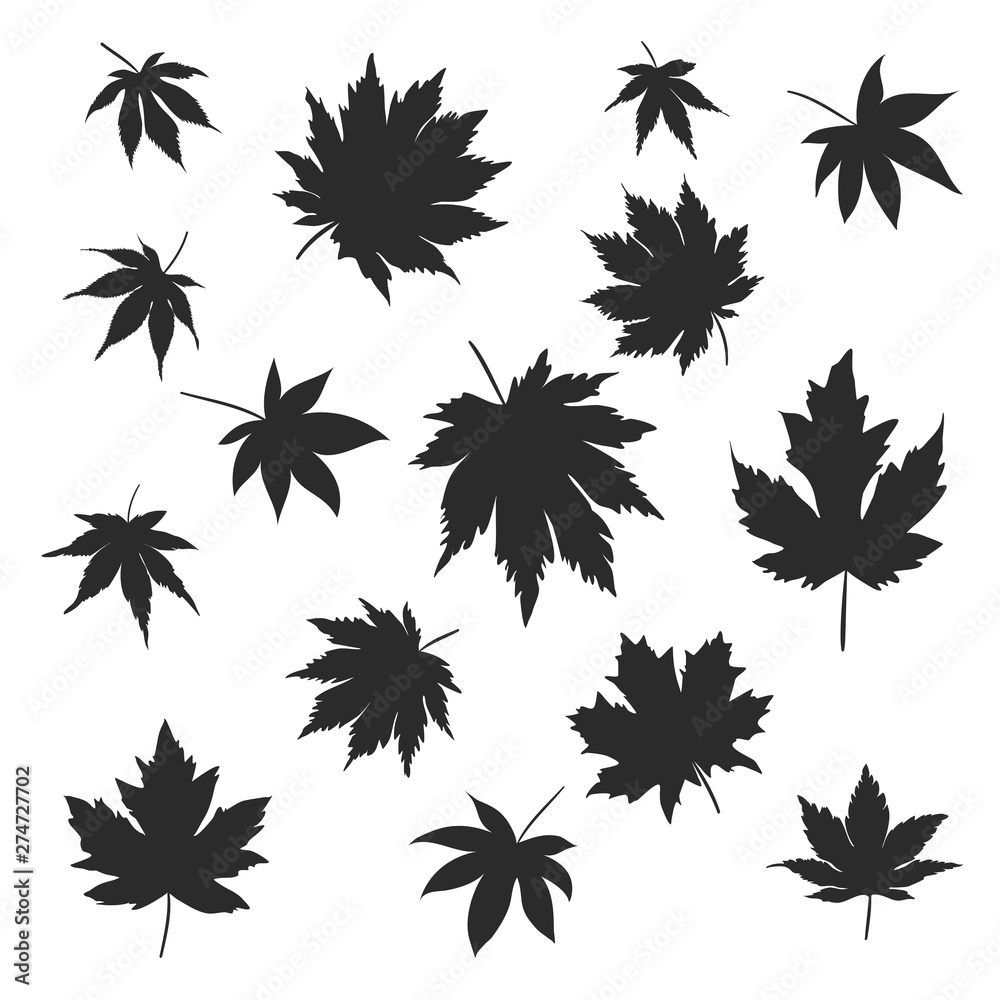 Silhouettes of maple leaves changing color from spring, summer and into fall. vector illustrator. Silhouettes of maple leaves changing color from spring, summer and into fall. vector illustrator.