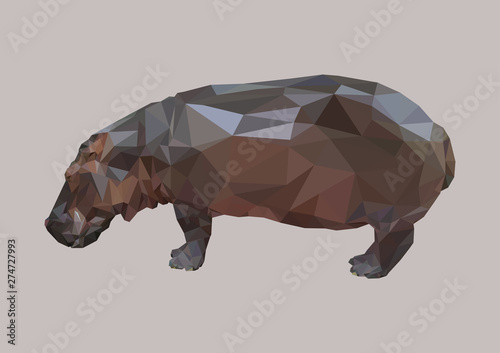 polygonal hippopotamus, polygon abstract geometric animal, hippo vector illustration