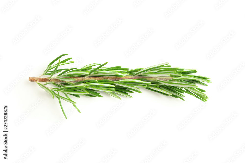 Fototapeta premium Fresh green rosemary isolated on white background