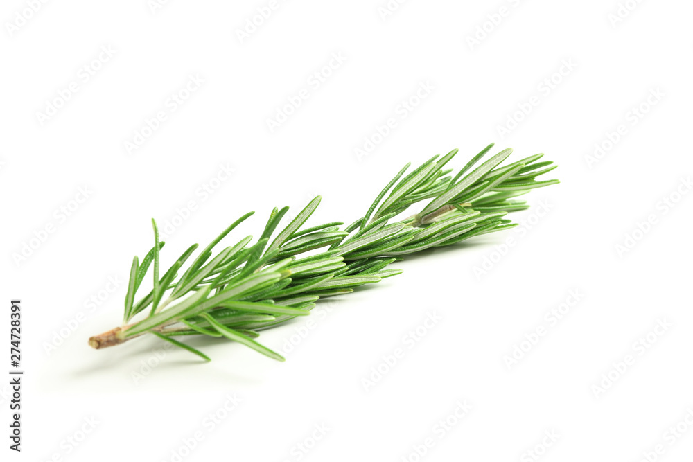 Fresh green rosemary isolated on white background Fresh green rosemary isolated on white background