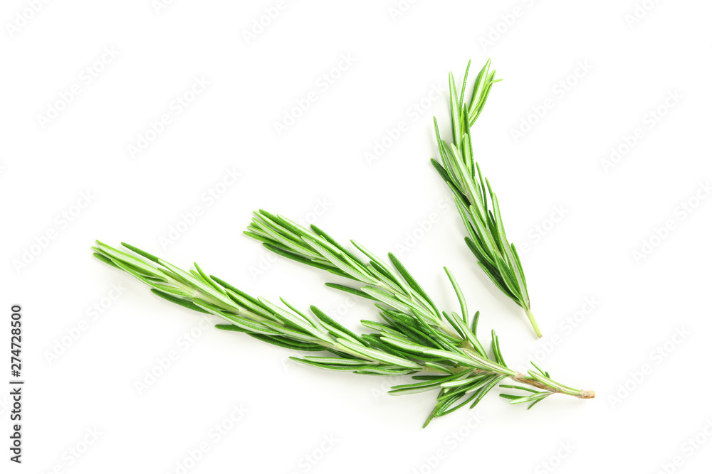 Fresh green rosemary isolated on white background Fresh green rosemary isolated on white background