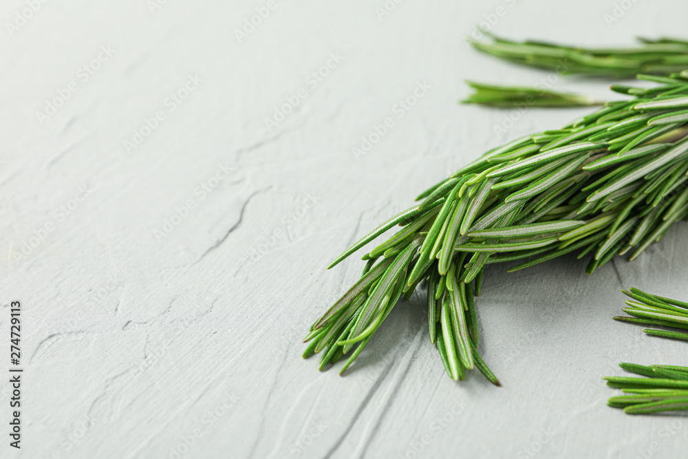 Green rosemary on grey background, closeup Green rosemary on grey background, closeup