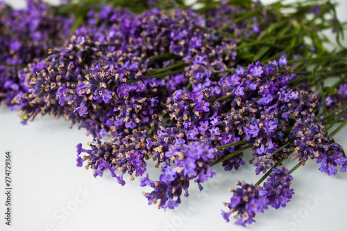 Fresh lavender flowers.