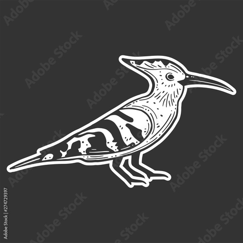 Wildbird hoopie. Vector concept in doodle and sketch style.