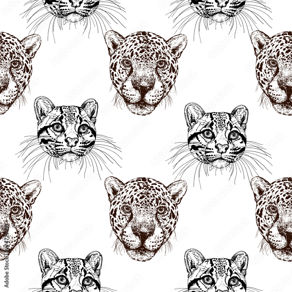 Seamless pattern of hand drawn sketch style portraits of clouded leopards with common leopards isolated on white background. Vector illustration.