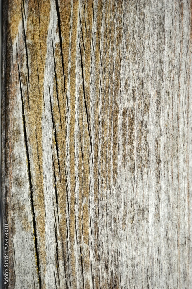 texture of wood texture of wood
