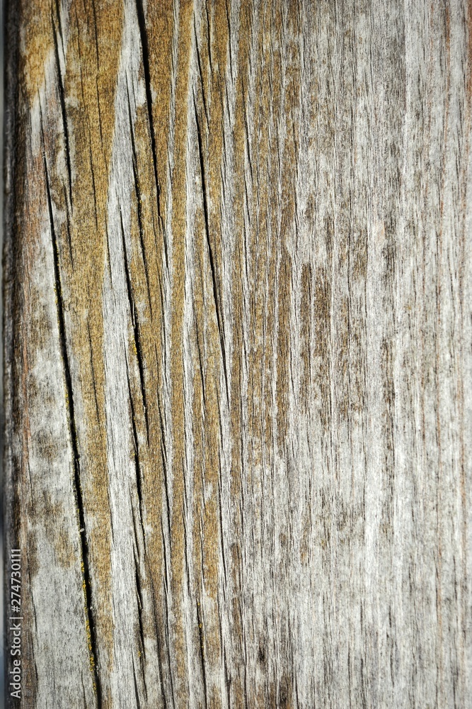 texture of wood