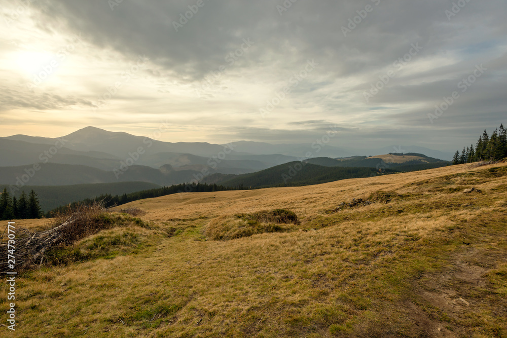 view of carpathian mountain, dark clouds and yellow grace in autumn 