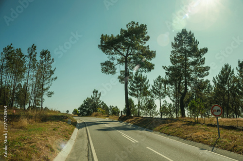 Road passing through rocky landscape covered by trees