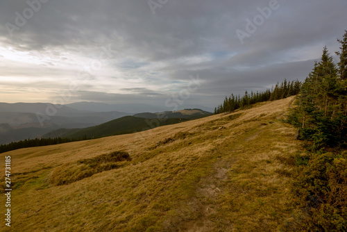 view of carpathian mountain, dark clouds and yellow grace in autumn 