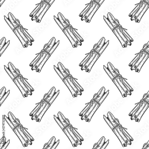 Cinnamon sticks. Vector concept in doodle and sketch style. Hand drawn illustration for printing on T-shirts, postcards.