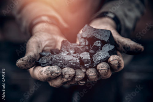 Miner holds coal, palm texture. Concept mining, black stone.
