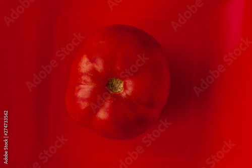 Pink large tomato on red background. Ecological nutrition, subsidiary farm