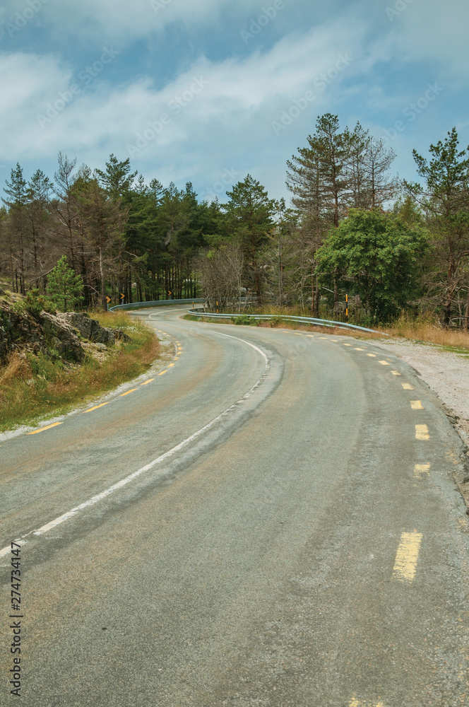 Naklejka premium Road passing through burnt forest on rocky landscape
