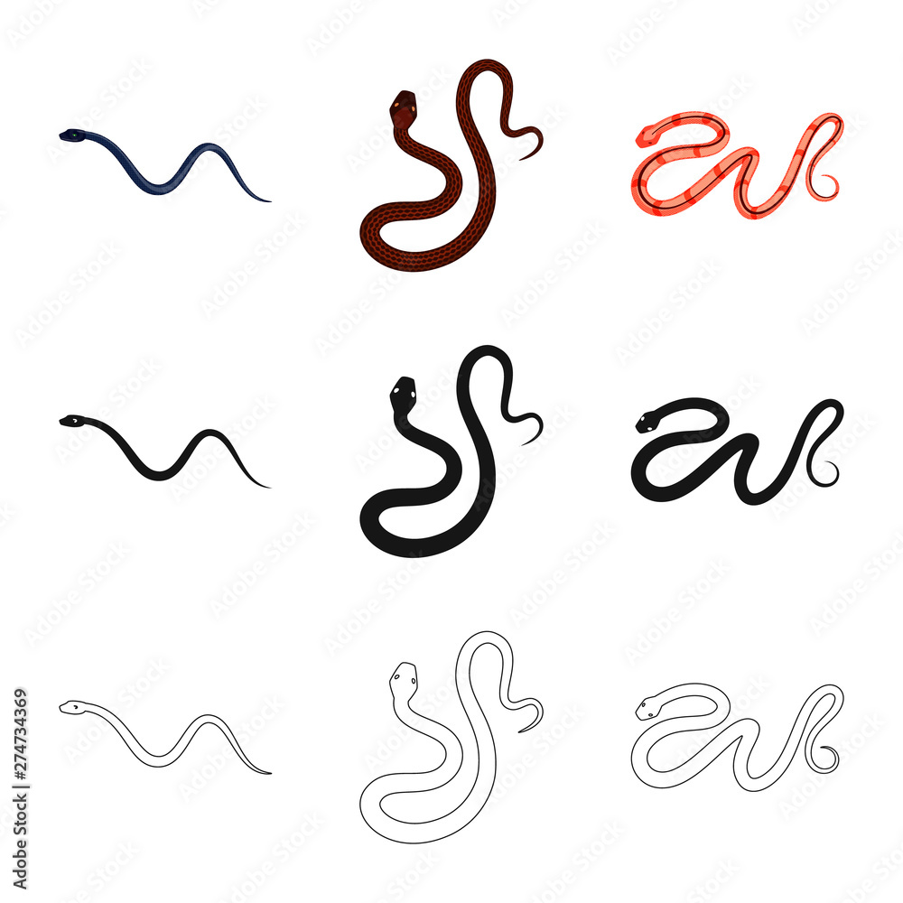 Isolated object of mammal and danger sign. Collection of mammal and medicine stock vector illustration. Isolated object of mammal and danger sign. Collection of mammal and medicine stock vector illustration.
