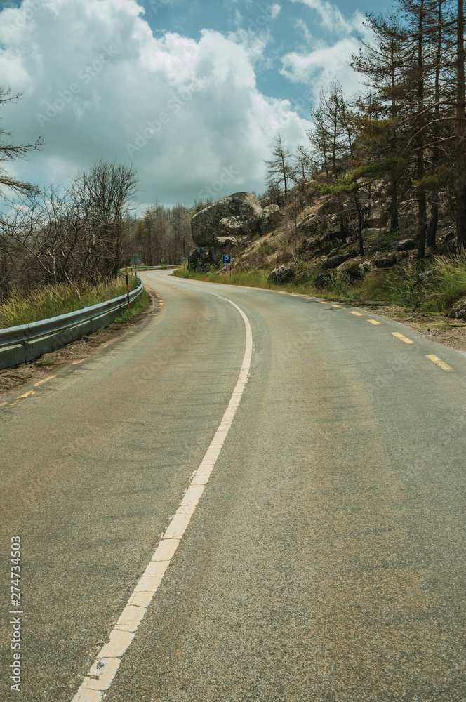 Fototapeta premium Road passing through burnt forest on rocky landscape