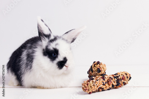 little rabbit on a white wooden background with dessert cereal chopsticks