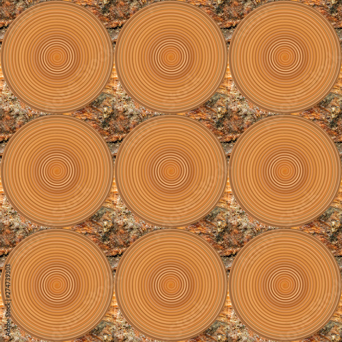 seamless pattern with flowers