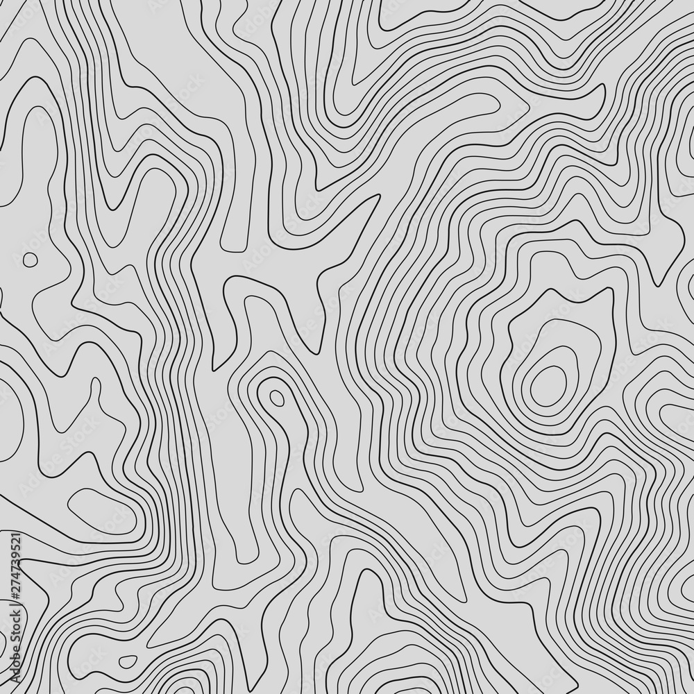 Fototapeta premium Topographic map lines background. Abstract vector illustration. Contour vector map.