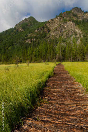 The wooden path leaving afar. Altai mountains. Summer time.