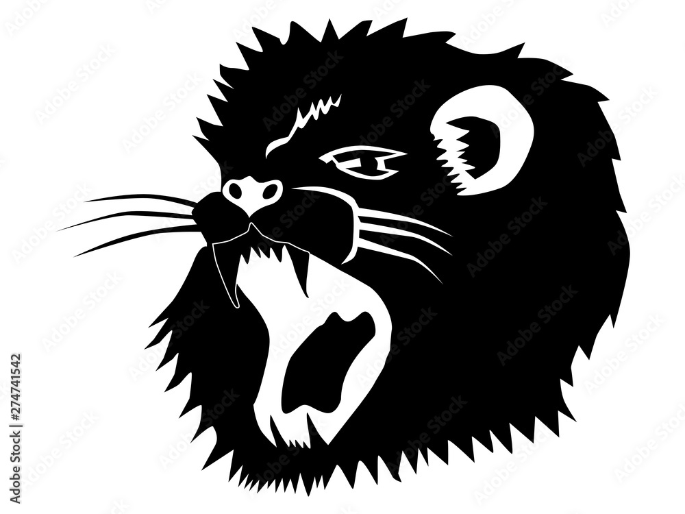 Fotografie silhouette of lion
