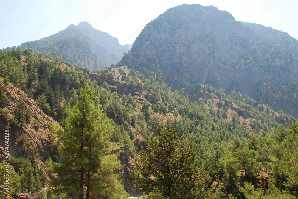 Crete, Samaria Gorge, very beautiful view of the mountains and small trees, stones, sand and hot sun
