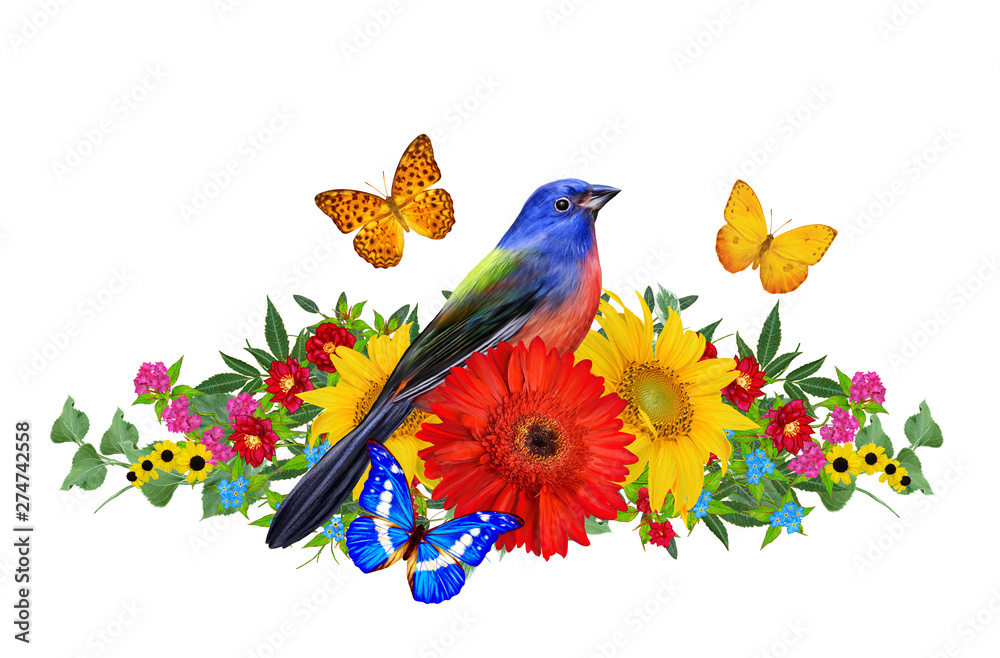 Tit bird sits on a branch of bright red gerberas flowers, yellow roses, green leaves, beautiful butterflies. Isolated on white background. Flower composition.