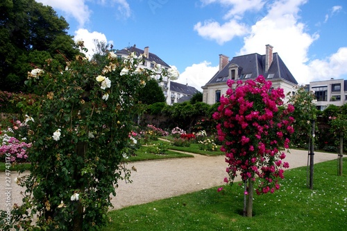 Le jardin du Thabor au mois de juin