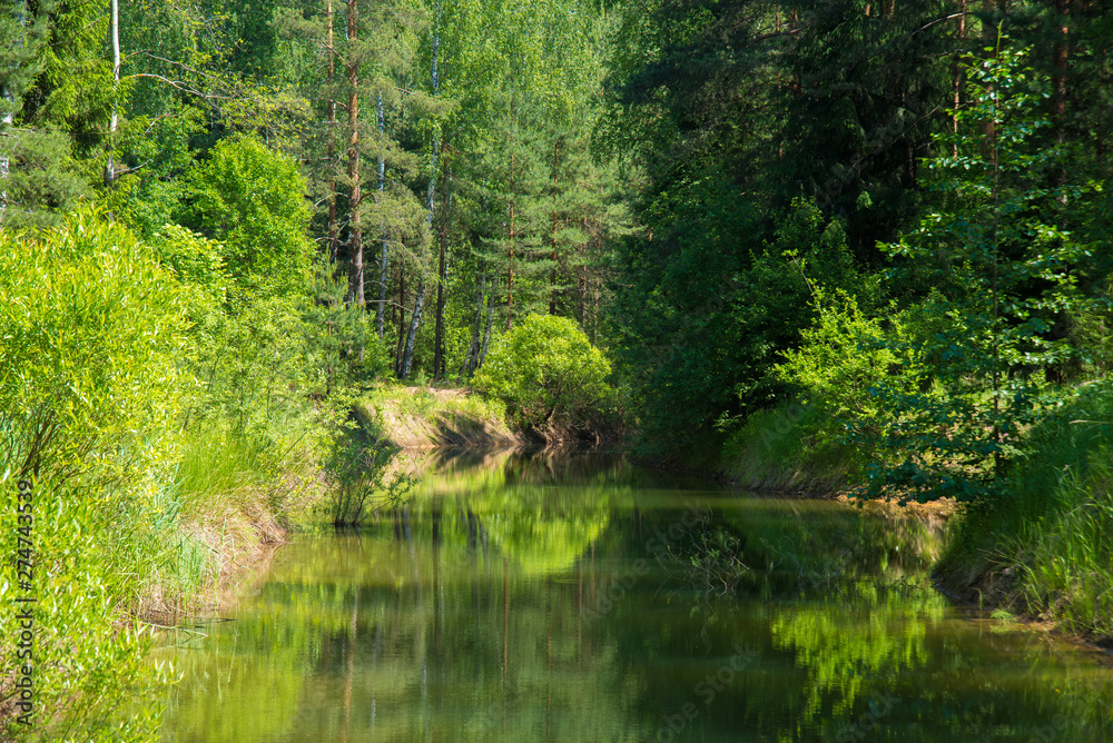 Blue lake in forest, Russian landscapes, beautiful nature