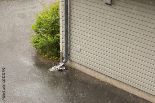 Thunder rain at midsummer