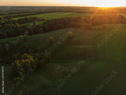 Top aerial view of green fi...