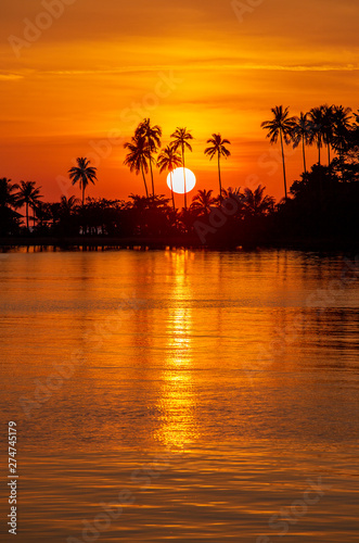 Silhouette of coconut palm trees during sunset next the sea water on island in Thailand. Nature and travel concept. Sun  red sky  palm trees and sea water