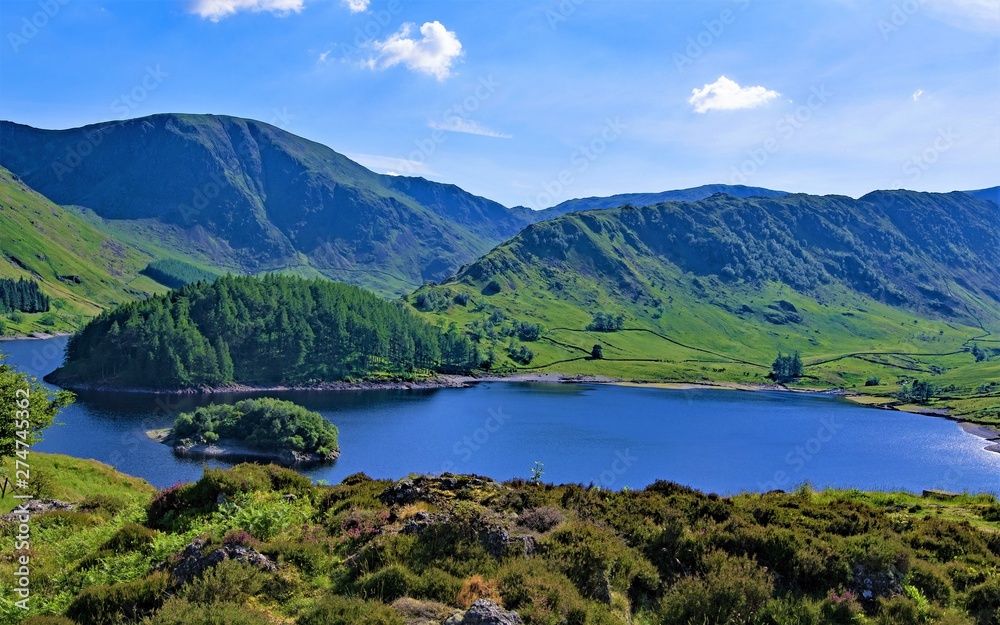 The Islands in the Haweswater Reservoir, Lake District, Cumbria