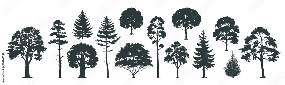 Trees silhouettes. Forest and park pines firs and spruces, coniferous and deciduous trees. Vector isolated retro images nature set