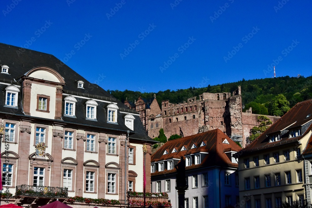 Fototapeta premium Schloss Heidelberg