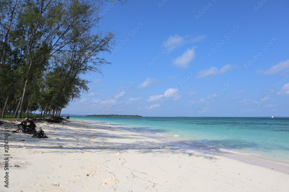 Peaceful beach in Zanzibar island