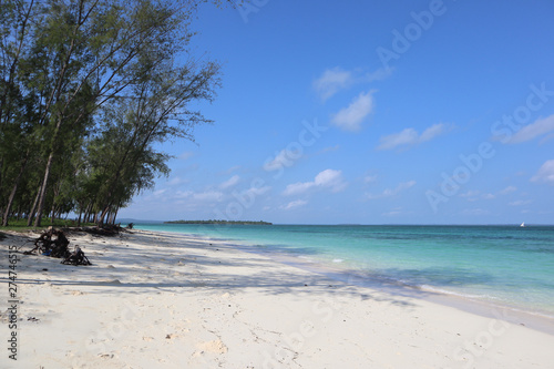 Fototapeta Naklejka Na Ścianę i Meble -  Peaceful beach in Zanzibar island