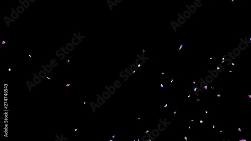 3D animation of a flower petals flow with alpha layer