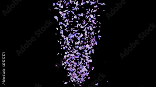 3D animation of a flower petals flow with alpha layer