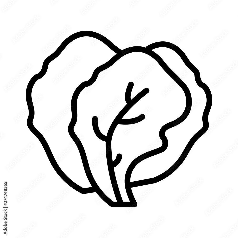 oak oak