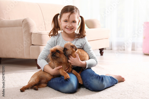 Portrait of cute girl with funny Brussels Griffon dogs at home. Loyal friends